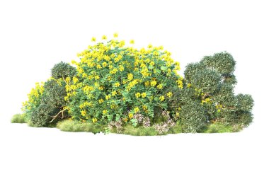 Beyaz arka planda yeşil çalılıklar izole edilmiş. Orman bitkilerinin 3D canlandırması