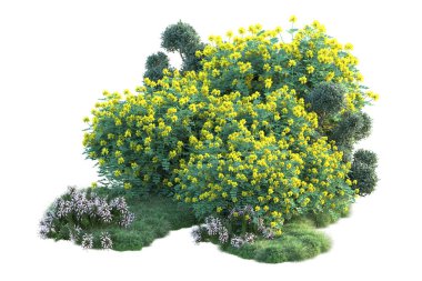 Beyaz arka planda yeşil çalılıklar izole edilmiş. Orman bitkilerinin 3D canlandırması