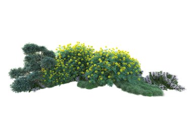 Beyaz arka planda yeşil çalılıklar izole edilmiş. Orman bitkilerinin 3D canlandırması