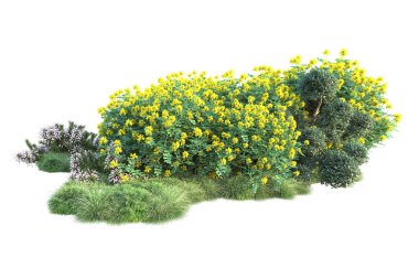 Beyaz arka planda yeşil çalılıklar izole edilmiş. Orman bitkilerinin 3D canlandırması