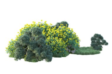 Beyaz arka planda yeşil çalılıklar izole edilmiş. Orman bitkilerinin 3D canlandırması