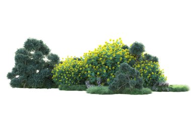 Beyaz arka planda yeşil çalılıklar izole edilmiş. Orman bitkilerinin 3D canlandırması