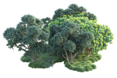 Beyaz arka planda yeşil çalılıklar izole edilmiş. Orman bitkilerinin 3D canlandırması