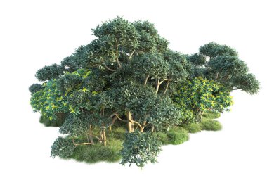 Beyaz arka planda yeşil çalılıklar izole edilmiş. Orman bitkilerinin 3D canlandırması