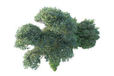 Beyaz arka planda yeşil çalılıklar izole edilmiş. Orman bitkilerinin 3D canlandırması