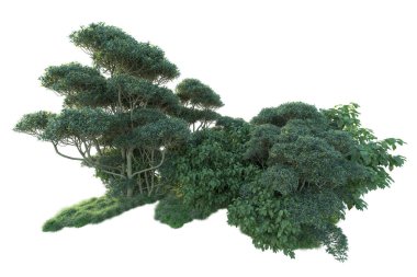 Beyaz arka planda yeşil çalılıklar izole edilmiş. Orman bitkilerinin 3D canlandırması