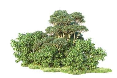 Beyaz arka planda yeşil çalılıklar izole edilmiş. Orman bitkilerinin 3D canlandırması