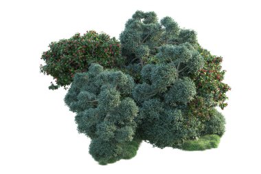Beyaz arka planda yeşil çalılıklar izole edilmiş. Orman bitkilerinin 3D canlandırması