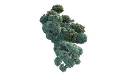 Beyaz arka planda yeşil çalılıklar izole edilmiş. Orman bitkilerinin 3D canlandırması