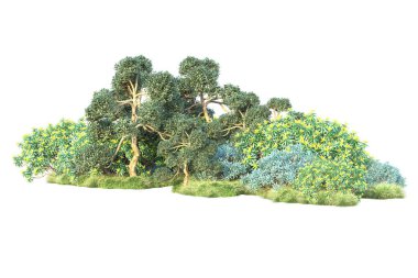Beyaz arka planda yeşil çalılıklar izole edilmiş. Orman bitkilerinin 3D canlandırması