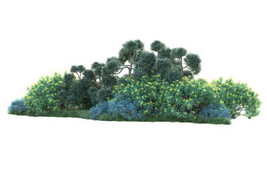 Beyaz arka planda yeşil çalılıklar izole edilmiş. Orman bitkilerinin 3D canlandırması