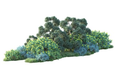 Beyaz arka planda yeşil çalılıklar izole edilmiş. Orman bitkilerinin 3D canlandırması