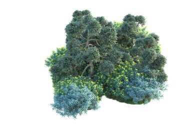 Beyaz arka planda yeşil çalılıklar izole edilmiş. Orman bitkilerinin 3D canlandırması