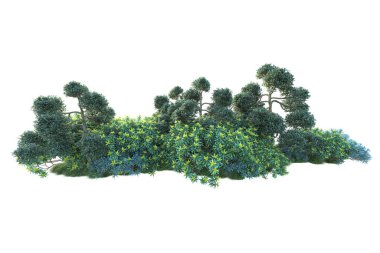 Beyaz arka planda yeşil çalılıklar izole edilmiş. Orman bitkilerinin 3D canlandırması