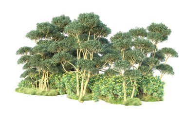 Beyaz arka planda yeşil çalılıklar izole edilmiş. Orman bitkilerinin 3D canlandırması