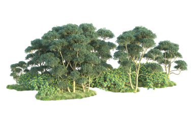 Beyaz arka planda yeşil çalılıklar izole edilmiş. Orman bitkilerinin 3D canlandırması