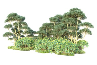Beyaz arka planda yeşil çalılıklar izole edilmiş. Orman bitkilerinin 3D canlandırması