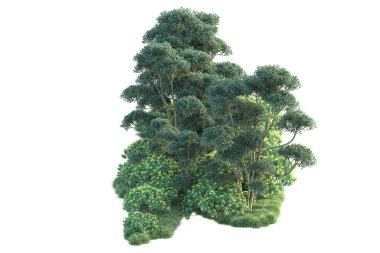 Beyaz arka planda yeşil çalılıklar izole edilmiş. Orman bitkilerinin 3D canlandırması