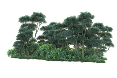 Beyaz arka planda yeşil çalılıklar izole edilmiş. Orman bitkilerinin 3D canlandırması