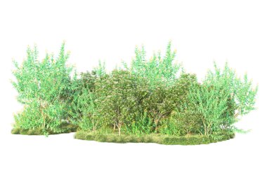 Beyaz arka planda yeşil çalılıklar izole edilmiş. Orman bitkilerinin 3D canlandırması