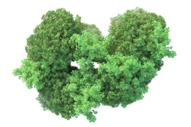 Beyaz arka planda yeşil çalılıklar izole edilmiş. Orman bitkilerinin 3D canlandırması