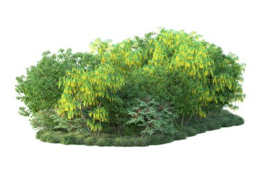 Beyaz arka planda yeşil çalılıklar izole edilmiş. Orman bitkilerinin 3D canlandırması