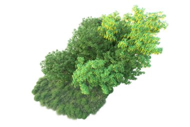 Forrest aranjmanı arka planda izole edildi. 3d görüntüleme - illüstrasyon
