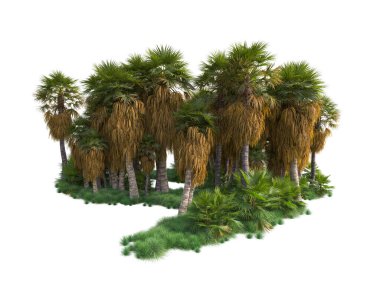 Arka planda izole edilmiş tropik orman düzeni. 3d görüntüleme - illüstrasyon