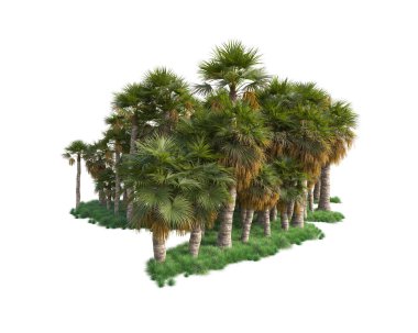 Arka planda izole edilmiş tropik orman düzeni. 3d görüntüleme - illüstrasyon