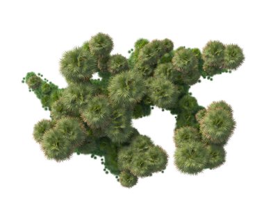 Arka planda izole edilmiş tropik orman düzeni. 3d görüntüleme - illüstrasyon