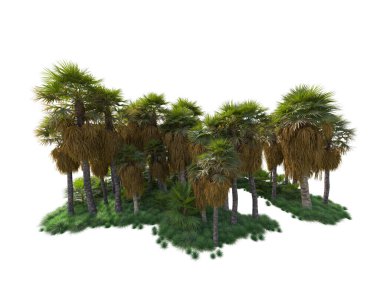 Arka planda izole edilmiş tropik orman düzeni. 3d görüntüleme - illüstrasyon