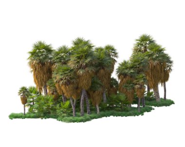 Arka planda izole edilmiş tropik orman düzeni. 3d görüntüleme - illüstrasyon