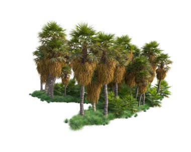 Arka planda izole edilmiş tropik orman düzeni. 3d görüntüleme - illüstrasyon