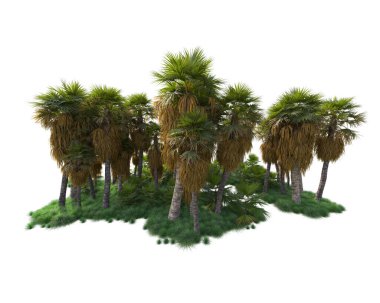 Arka planda izole edilmiş tropik orman düzeni. 3d görüntüleme - illüstrasyon