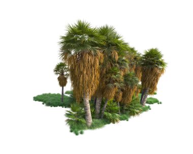 Arka planda izole edilmiş tropik orman düzeni. 3d görüntüleme - illüstrasyon