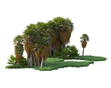 Arka planda izole edilmiş tropik orman düzeni. 3d görüntüleme - illüstrasyon