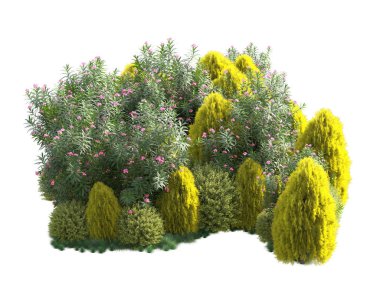 Arka planda izole edilmiş tropik orman düzeni. 3d görüntüleme - illüstrasyon