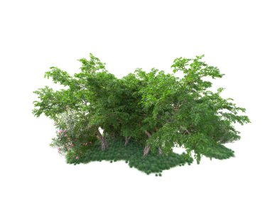 Arka planda izole edilmiş tropik orman düzeni. 3d görüntüleme - illüstrasyon