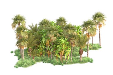 Arka planda izole edilmiş tropik orman düzeni. 3d görüntüleme - illüstrasyon