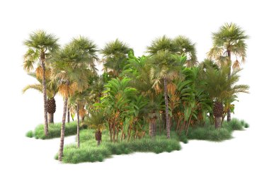 Arka planda izole edilmiş tropik orman düzeni. 3d görüntüleme - illüstrasyon