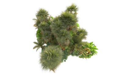 Arka planda izole edilmiş tropik orman düzeni. 3d görüntüleme - illüstrasyon