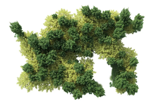 白い背景に隔離された緑の茂み 3Dレンダリング イラスト — ストック写真