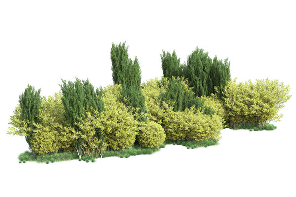 Зеленые кусты изолированы на белом фоне. 3D рендеринг - иллюстрация 