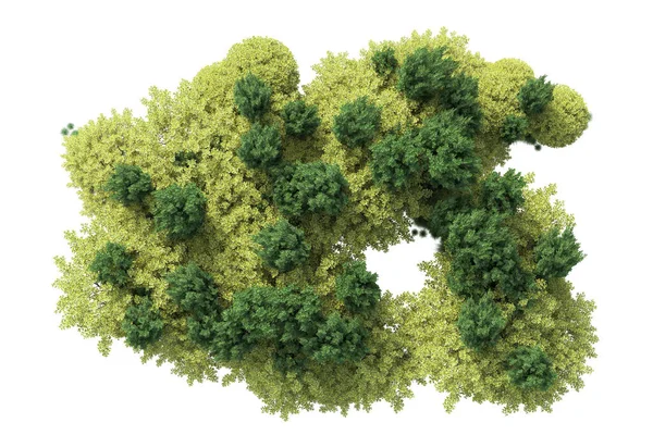 Groene Struiken Geïsoleerd Witte Achtergrond Weergave Illustratie — Stockfoto
