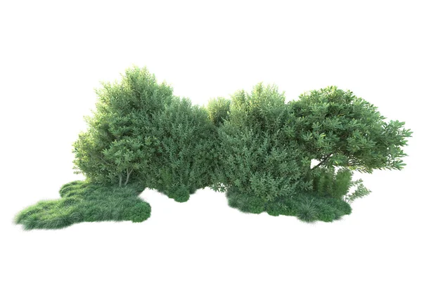 Arbustos Verdes Aislados Fondo Representación Ilustración —  Fotos de Stock