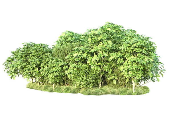 Grüne Büsche Vereinzelt Auf Dem Hintergrund Darstellung Illustration — Stockfoto