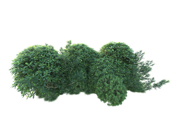 Green bushes isolated on background. 3d rendering - illustration 