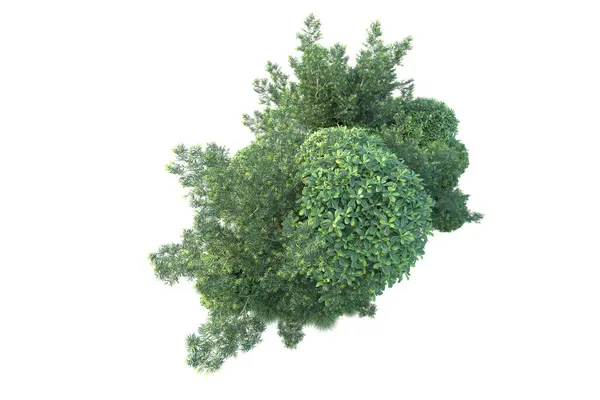 Зелені Кущі Ізольовані Фоні Візуалізація Ілюстрація — стокове фото