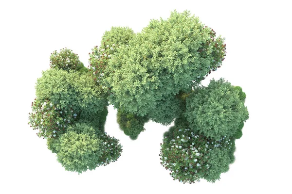 Green Bushes Isolated Background Rendering Illustration — Stock Photo, Image