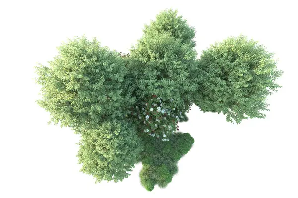 背景上孤立的绿色灌木丛 3D渲染 — 图库照片
